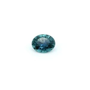 0.99ct ROUND Sapphire - 500103665