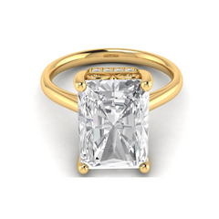 Custom Fleur De Lis Hidden Halo