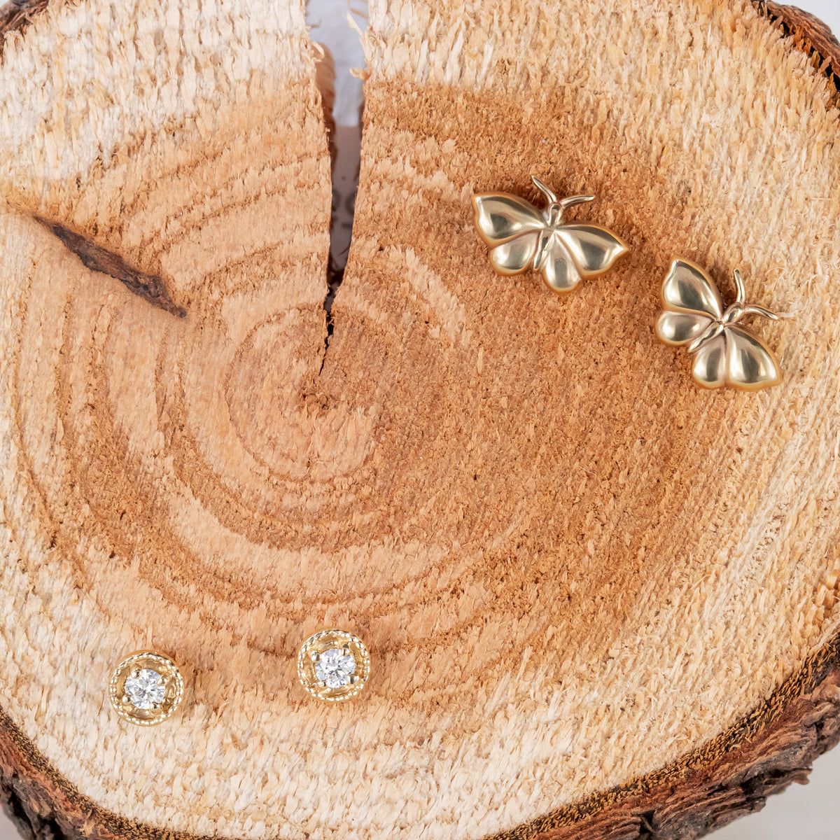 Moth Stud Earrings ~ Ready to Ship