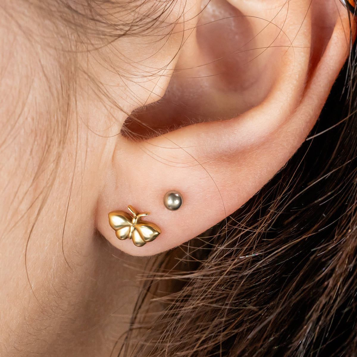 Moth Stud Earrings ~ Ready to Ship