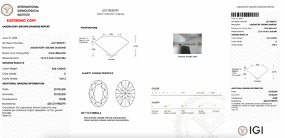 OVAL 4.06ct D VVS2 EXCELLENT D0D0104E5