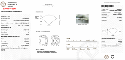 ELONGATED CUSHION 3.09ct EVVS2 EXCELLENT ACA792D35