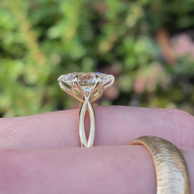 Custom Tulip Twist